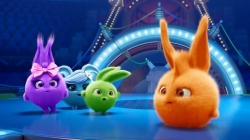 انیمیشن سانی بانیز قسمت 539 - sunny bunnies